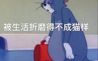校园发疯文案沙雕文案，校园发疯文案沙雕文案图片