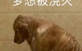 年龄文案沙雕，年龄文案沙雕搞笑