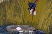 看花文案沙雕女生，看花 文案